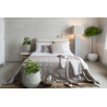 Etxeko Déco - Pack Housse De Couette et Taies D'oreiller